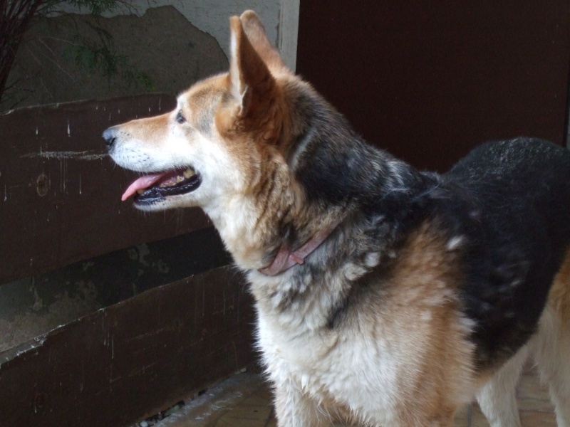 Ostern 2007 Orleshausen 096 